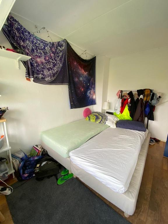Kamer met dakterras bij Noorderplantsoen - Afbeelding 4