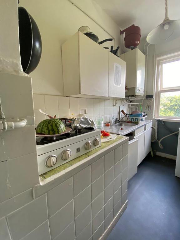 Kamer met dakterras bij Noorderplantsoen - Afbeelding 7