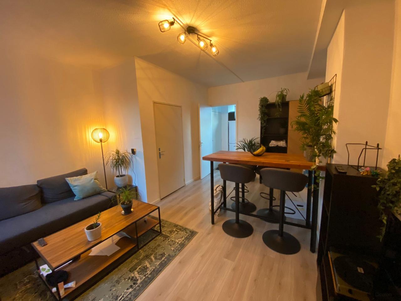 Gelijkvloers 2-kamerappartement in Tilburg - Afbeelding 1