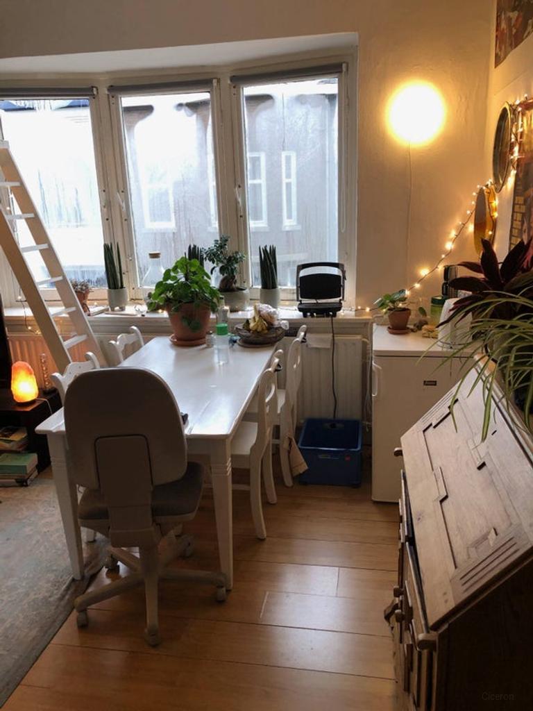Studentenkamer met hoogslaper in Maastricht - Afbeelding 3