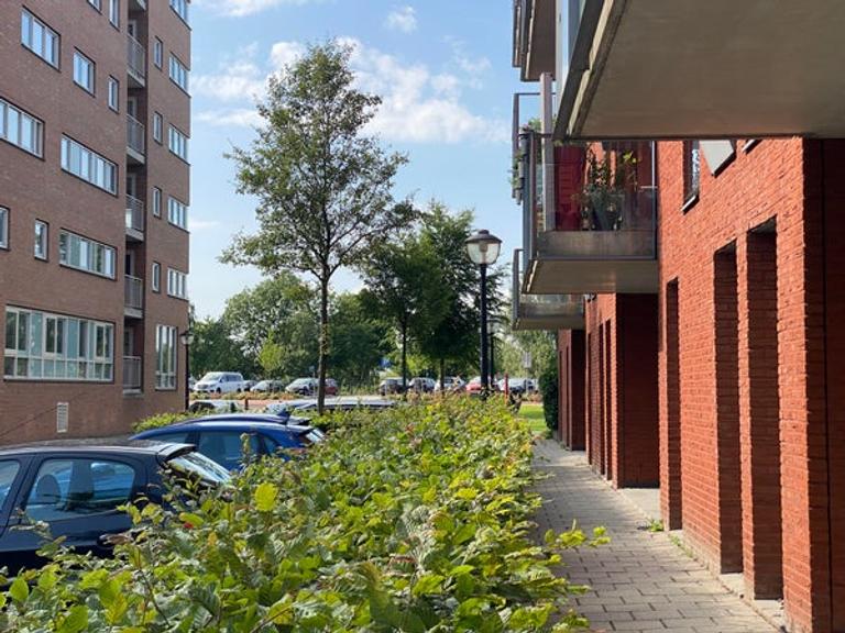 Fijn 2-kamerappartement met eigen parkeerplek - Afbeelding 30