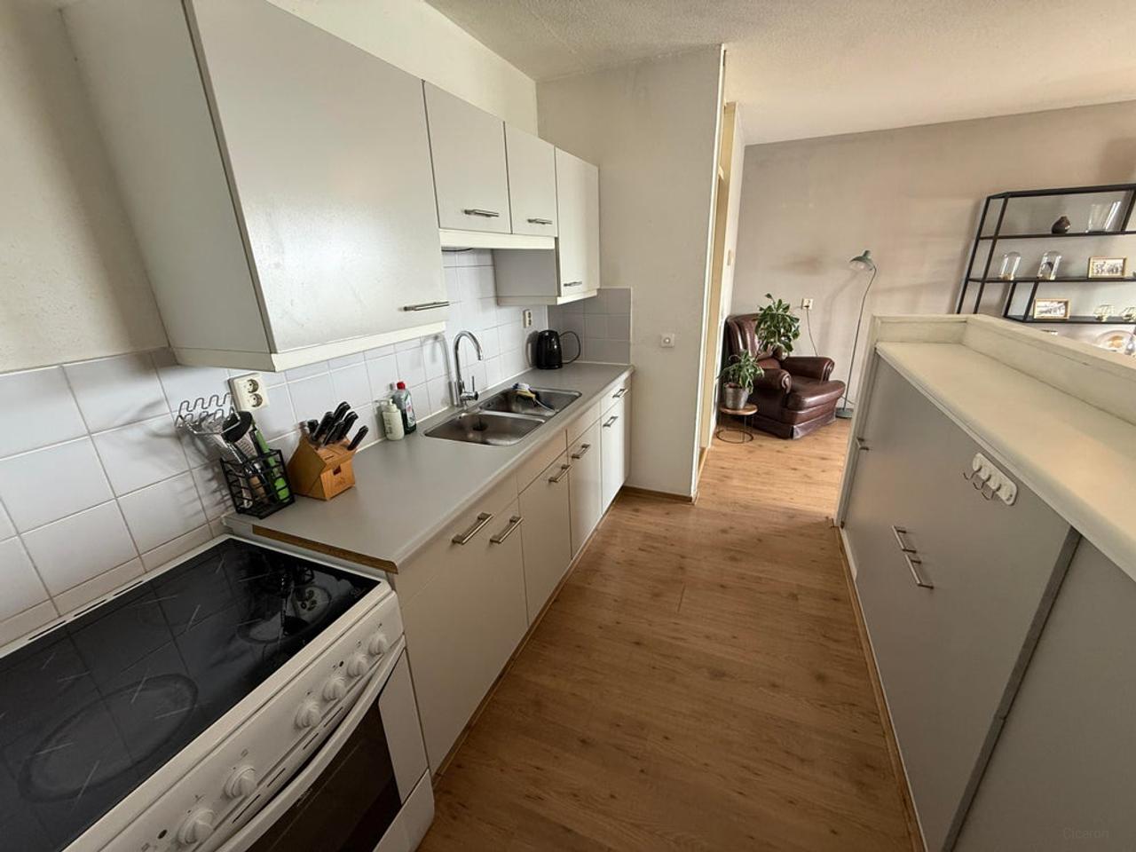 3-kamerappartement met uitzicht op de Maas - Afbeelding 15
