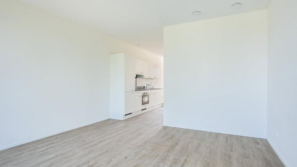Gasloos 3-kamerappartement met tuin - Afbeelding 3