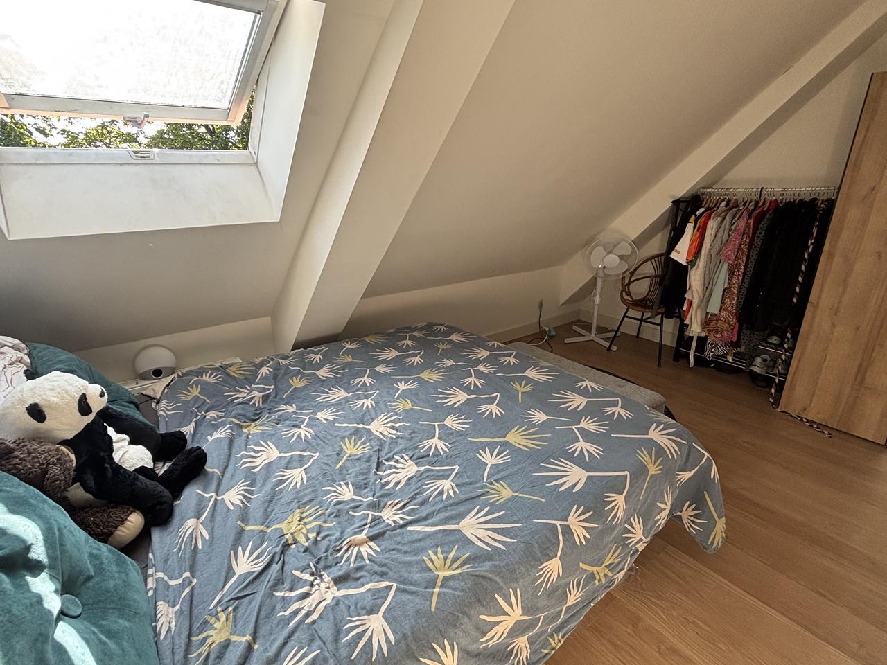Zolderappartement van 51 m² aan de Haagdijk - Afbeelding 2