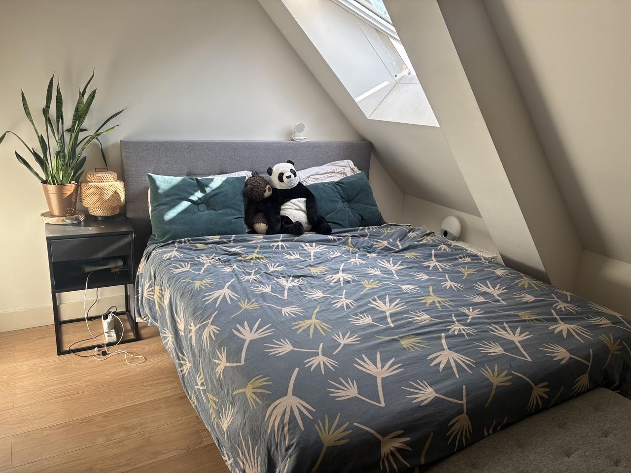 Zolderappartement van 51 m² aan de Haagdijk - Afbeelding 3