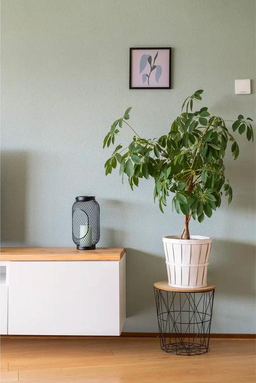 Wonen aan het water op de Kop van Zuid - Afbeelding 23
