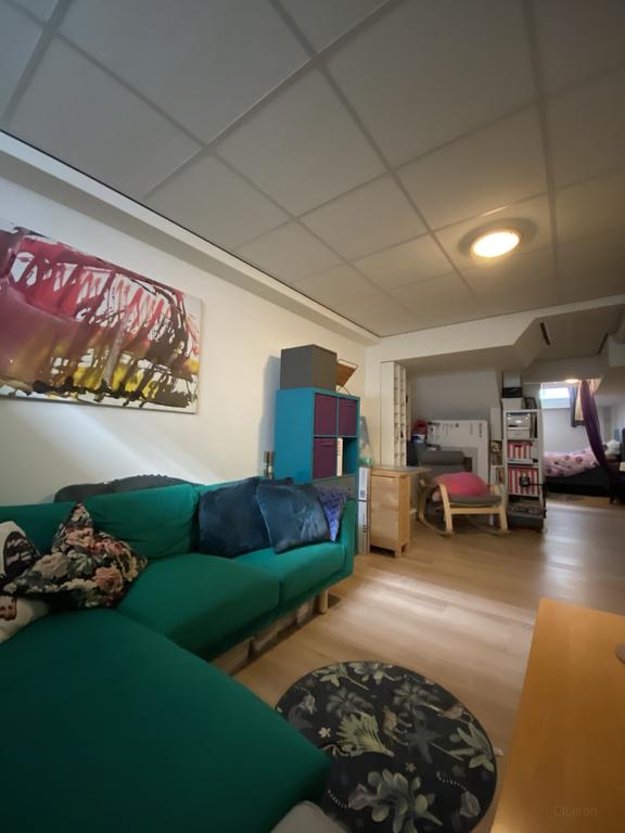 Apartment with basement in Gorechtbuurt - Image 12