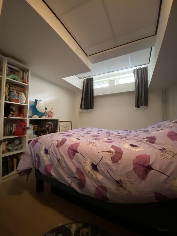 Apartment with basement in Gorechtbuurt - Image 14