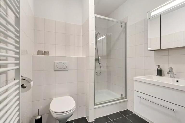 Appartement aan park in De Hinthamerpoort - Afbeelding 10