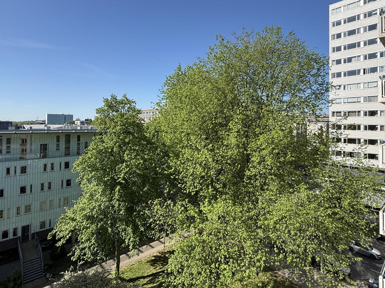 Bright 3-room apartment with 2 balconies - Image 14