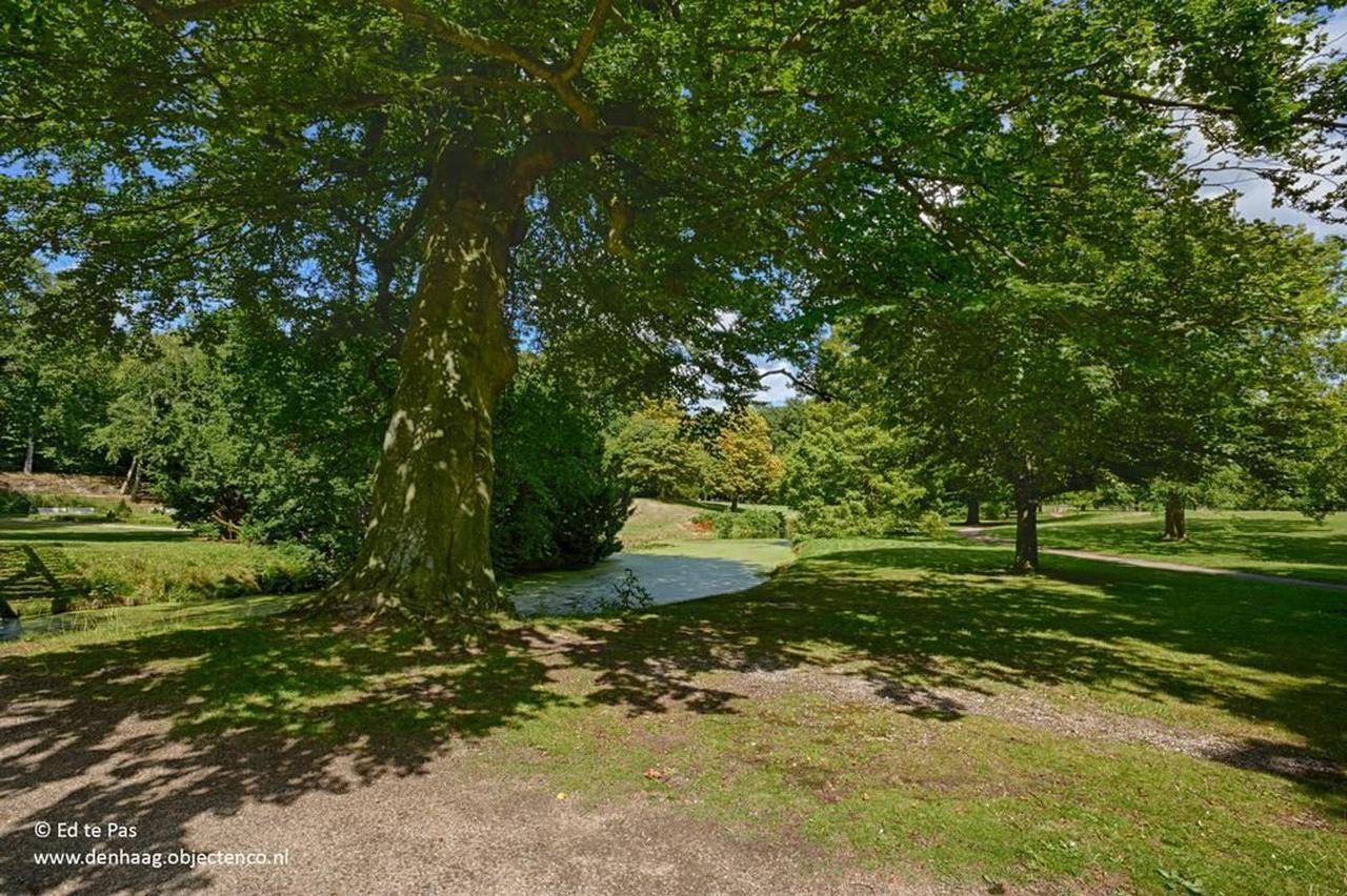 Apartment in Uilennest for €2300 p/m - Image 24