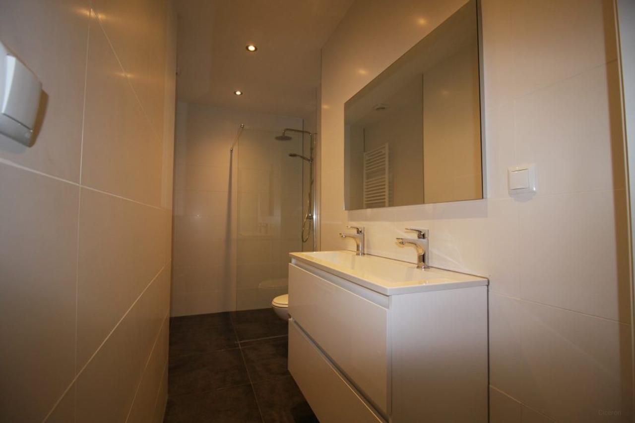 Drieslaapkamerappartement bij het Vroesenpark - Afbeelding 37