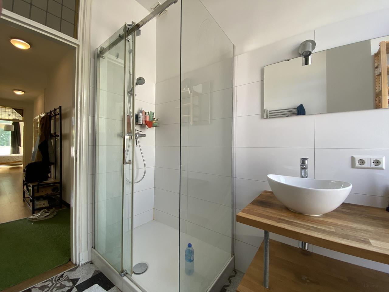 Licht 4-kamer appartement met dakterras - Afbeelding 14