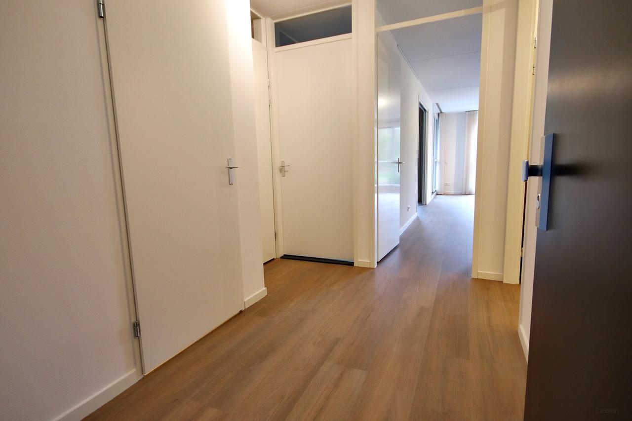 Nieuw appartement met A++ in De Dreijen - Afbeelding 2
