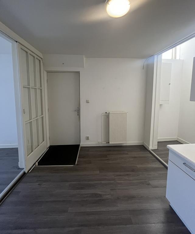 2-kamer appartement aan de Haagdijk - Afbeelding 5