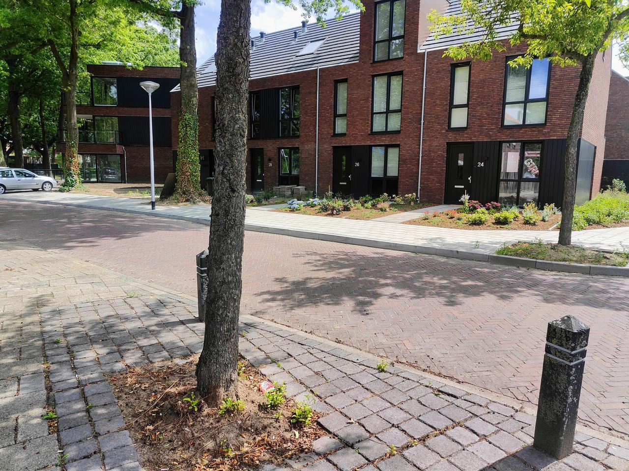 New 4-Bedroom Home in Geenhoven - Image 21