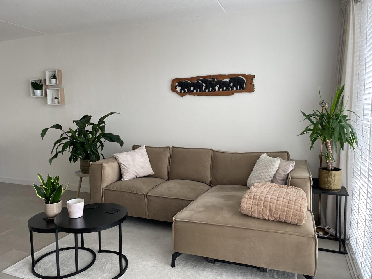 Licht 3-kamer appartement met balkon - Afbeelding 3