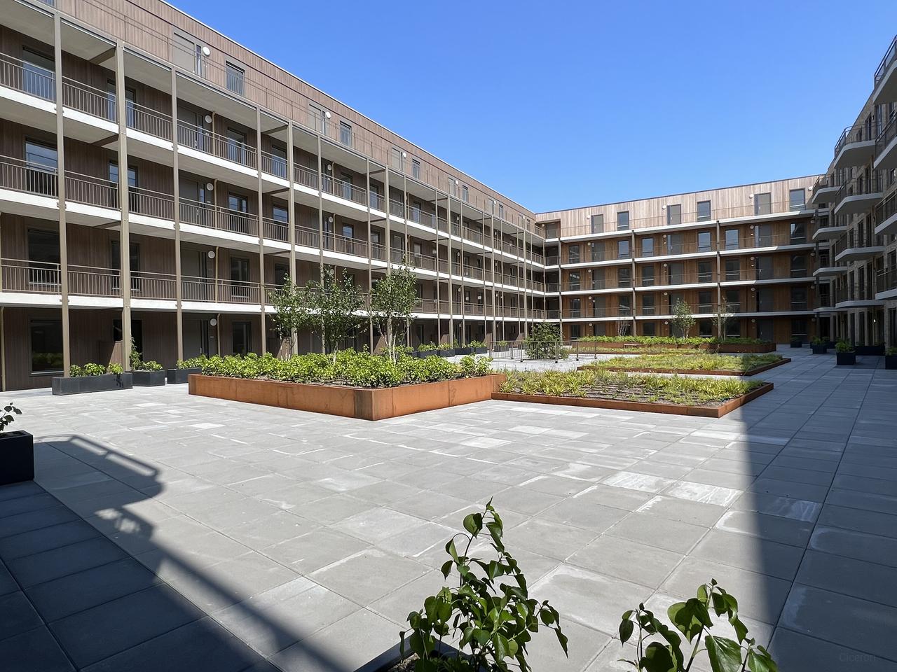 3-room apartment with parking in Rijnvliet - Image 1