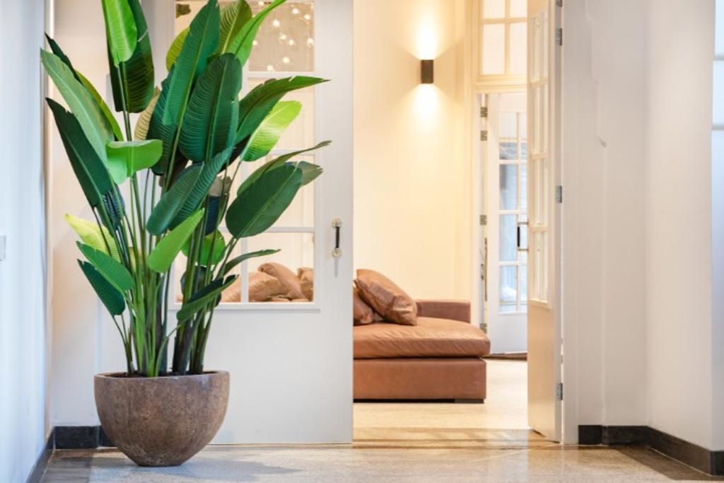 Appartement met tuin aan het Vondelpark - Afbeelding 2