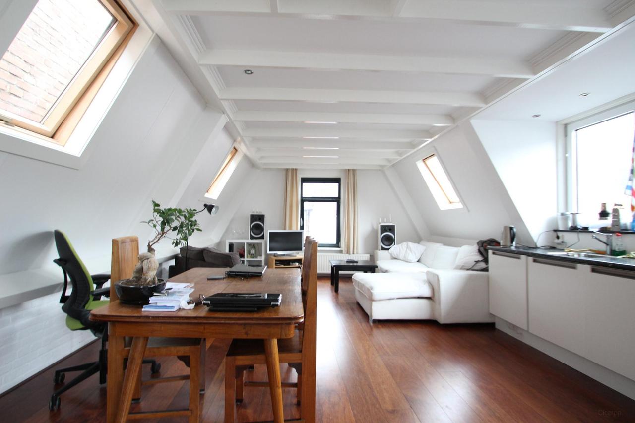 4-room apartment with roof terrace in Utrecht - Image 4