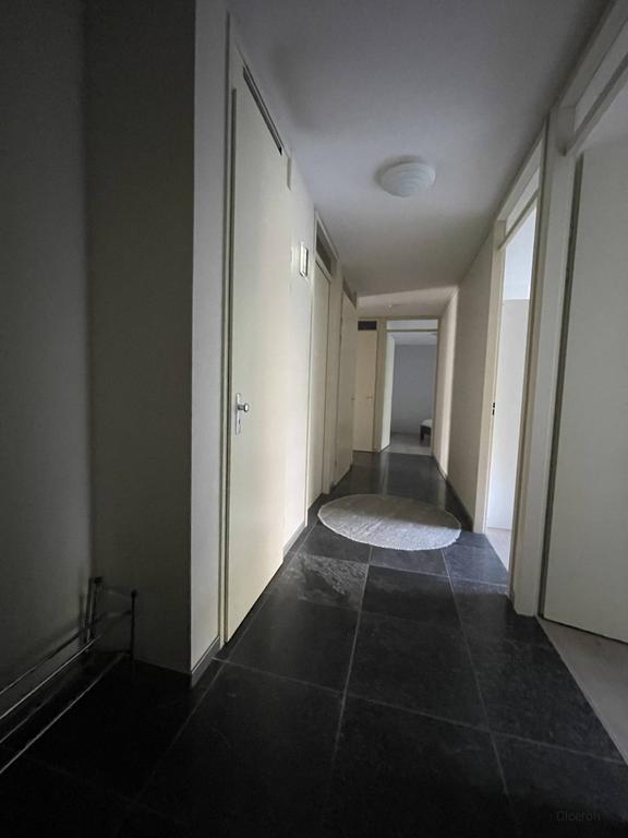 Gemeubileerd 4-kamerappartement bij Blaak - Afbeelding 15