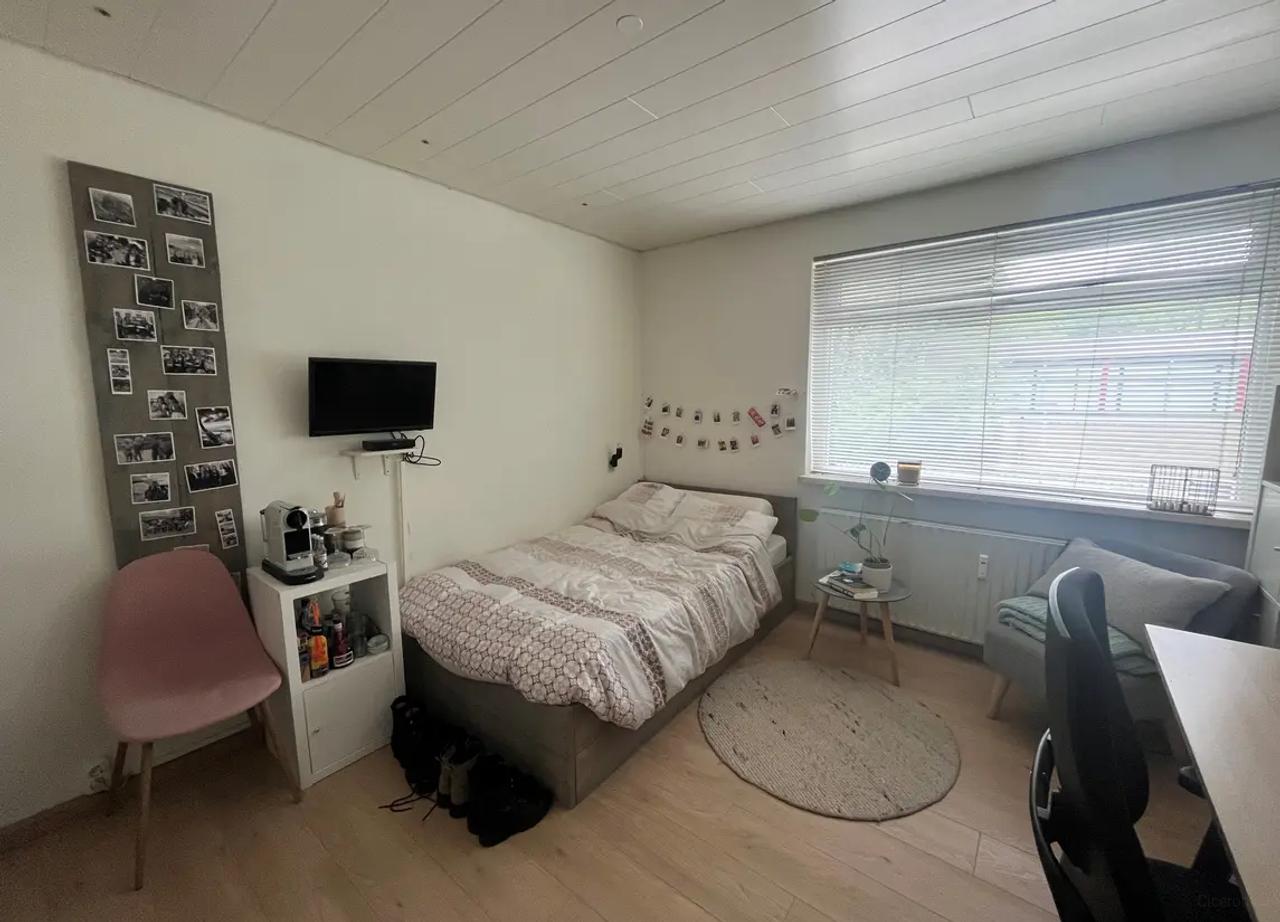 3-Bedroom Apartment in Tilburg - Image 8