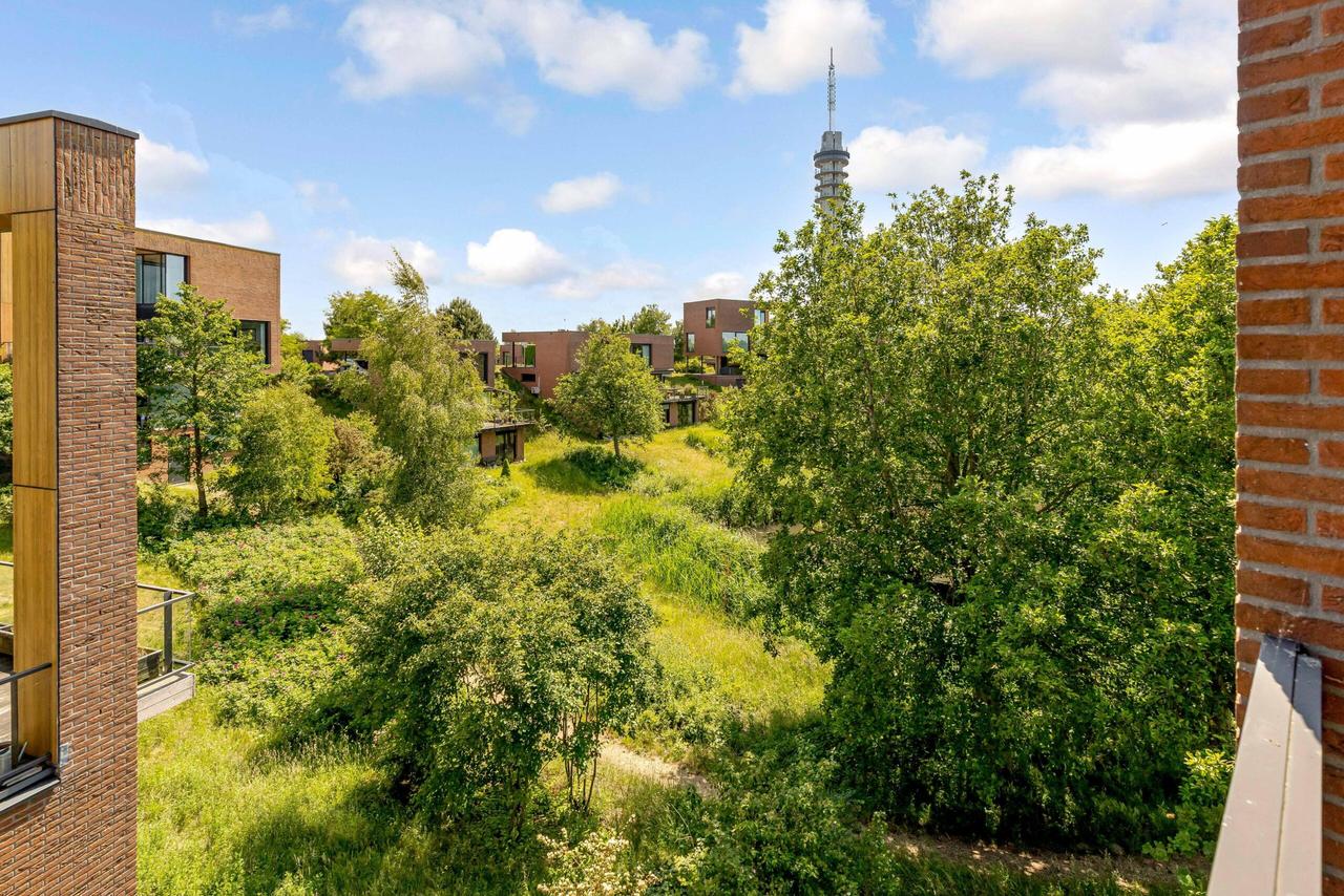 Detached Living in Green Surroundings with Sauna - Image 26