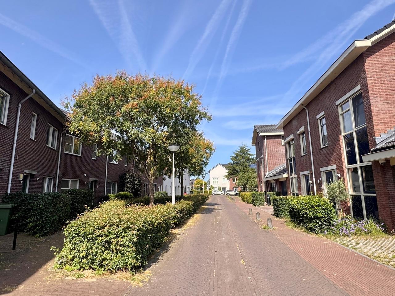 115 m² gezinshuis met tuin in Schuytgraaf - Afbeelding 4