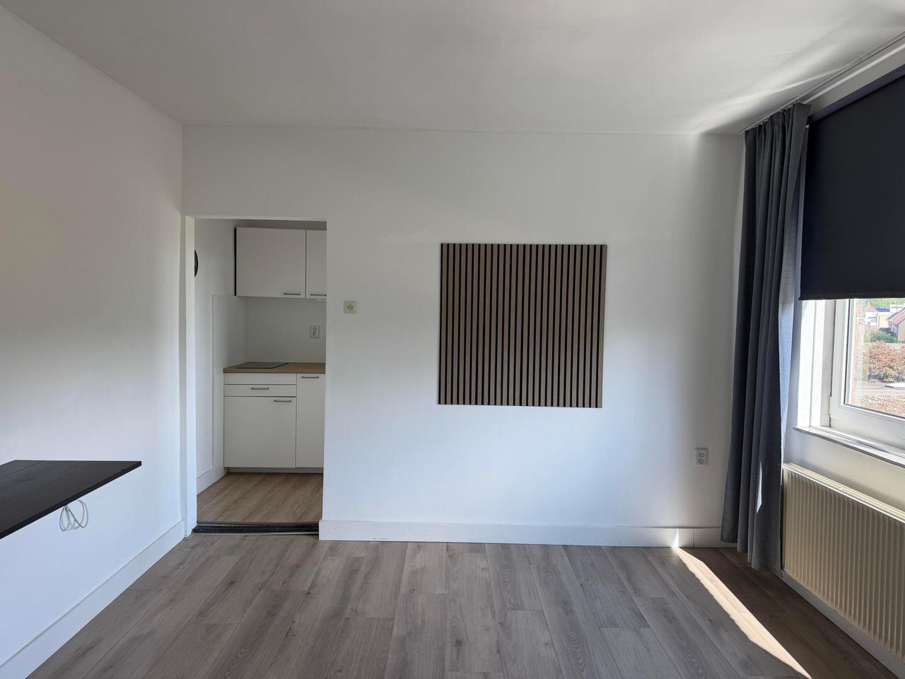Studio met eigen pantry in Heerlen - Afbeelding 2