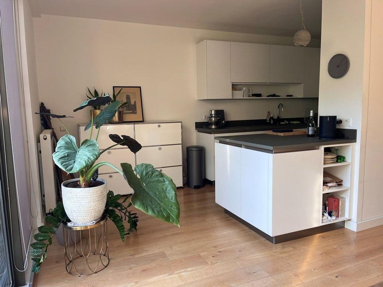 3-kamerappartement in Stadsdriehoek - Afbeelding 8