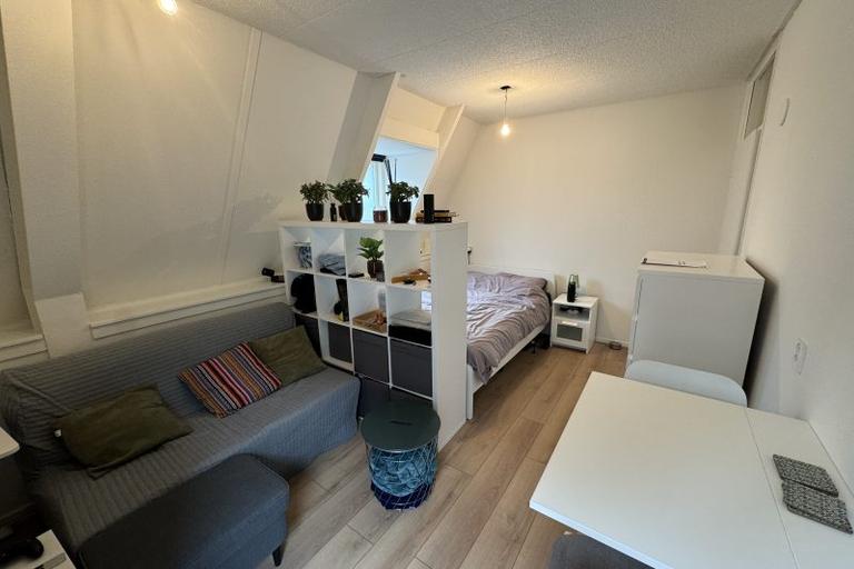 Studio met eigen voordeur in centrum Arnhem - Afbeelding 4