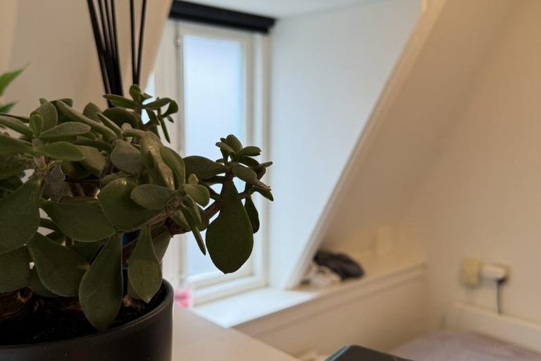 Studio met eigen voordeur in centrum Arnhem - Afbeelding 6