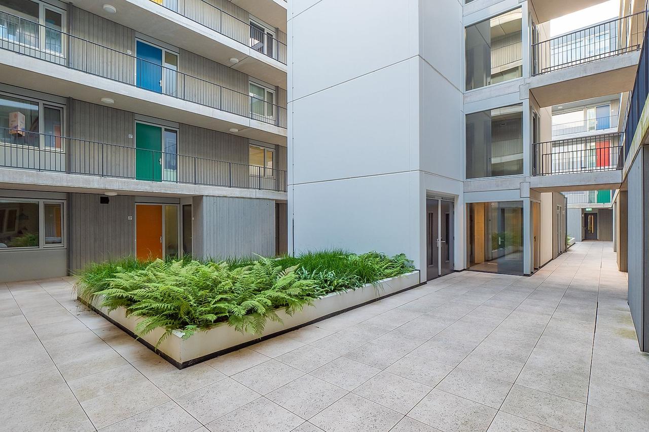 Studio with large terrace in Stadhoudersplantsoen - Image 2