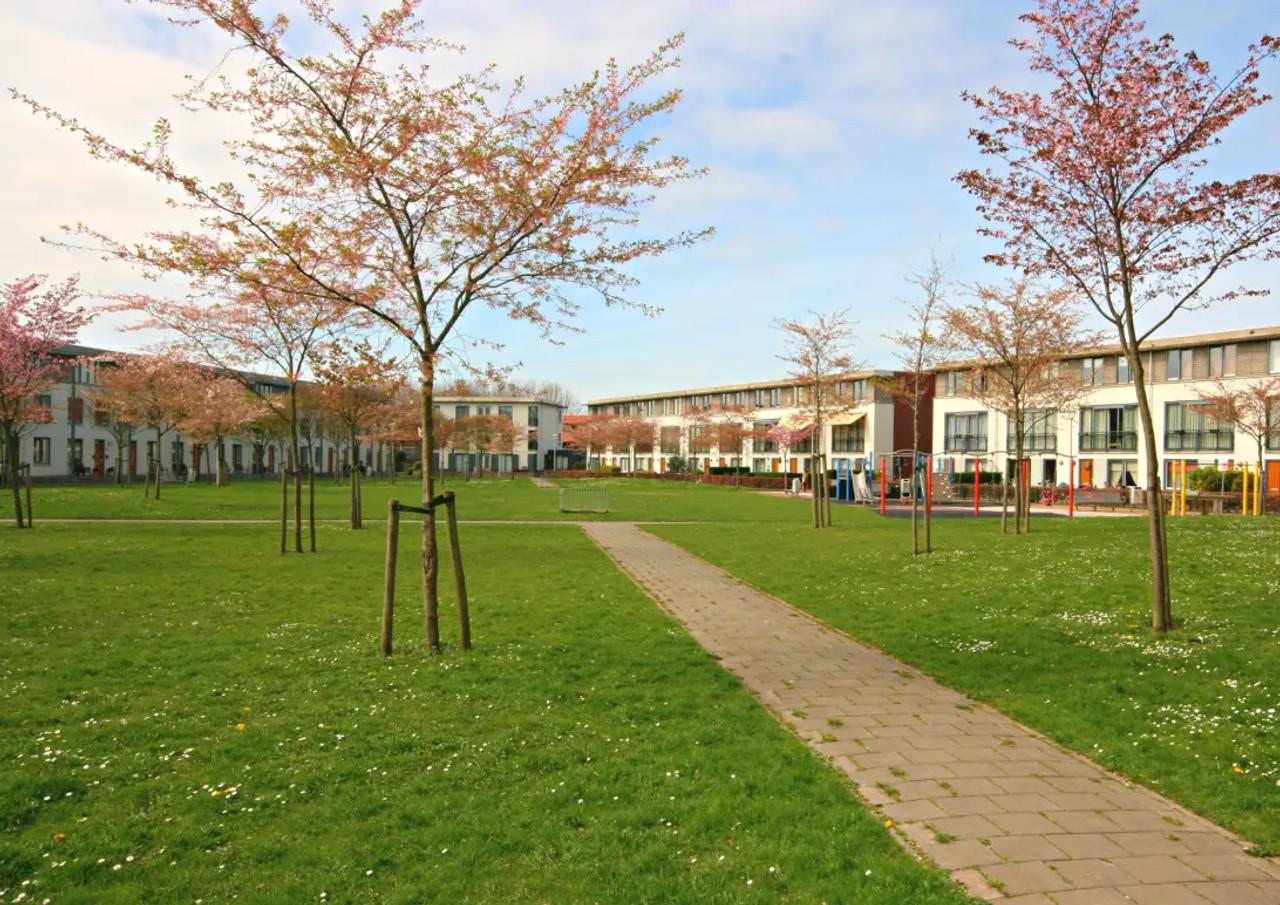 Bright Studio with Terrace in Scheveningen - Image 5