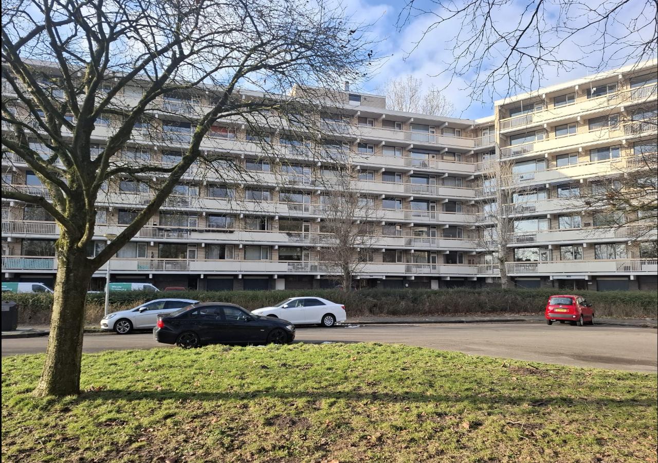 Studentenhuis met 4 slaapkamers in Paddepoel - Afbeelding 1
