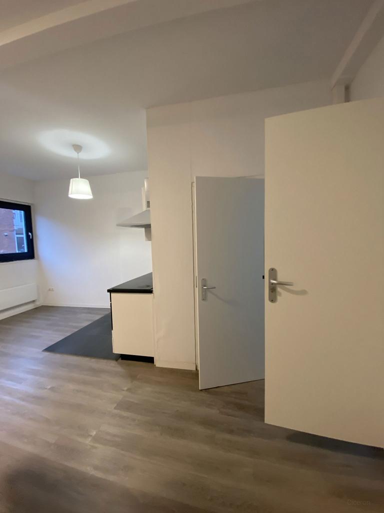 Studio van 33 m² in hartje Hengelo - Afbeelding 2