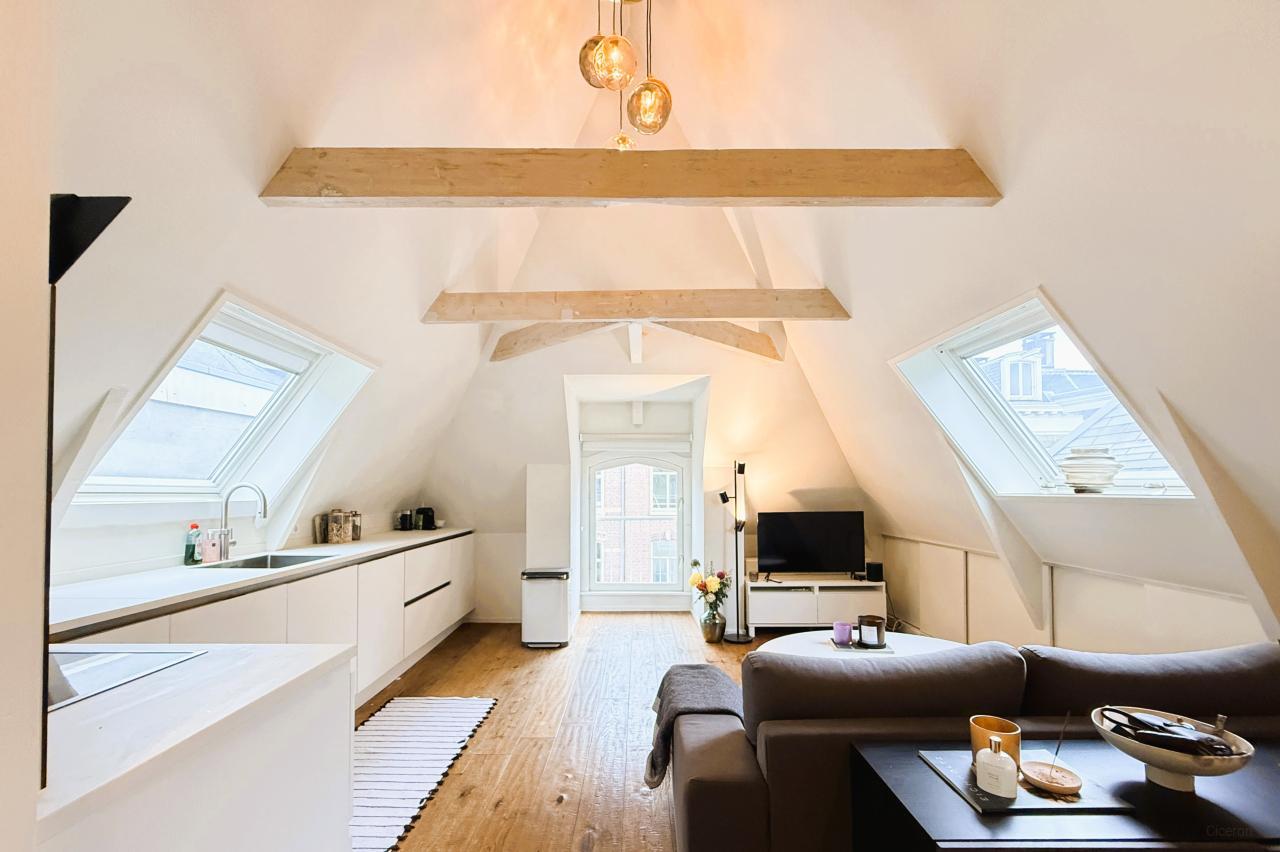 3-kamerappartement met dakterras in Oud-Zuid - Afbeelding 5