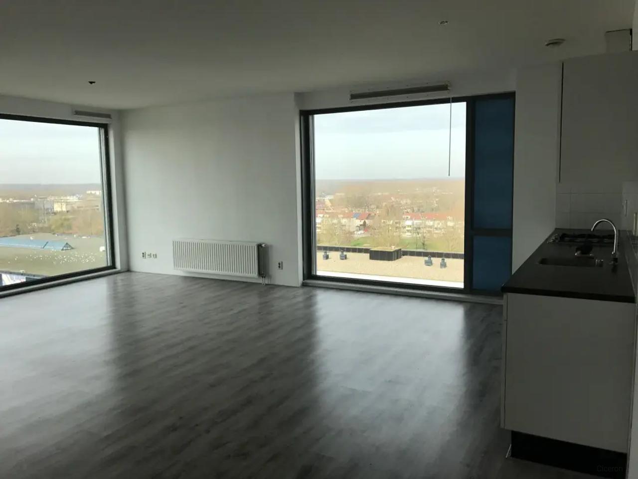 2-Bedroom Apartment with Balcony Overlooking Central Park - Image 4