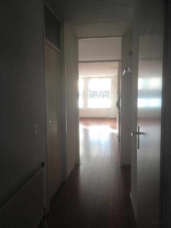 Gestoffeerd appartement met garage nabij het MUMC - Afbeelding 4