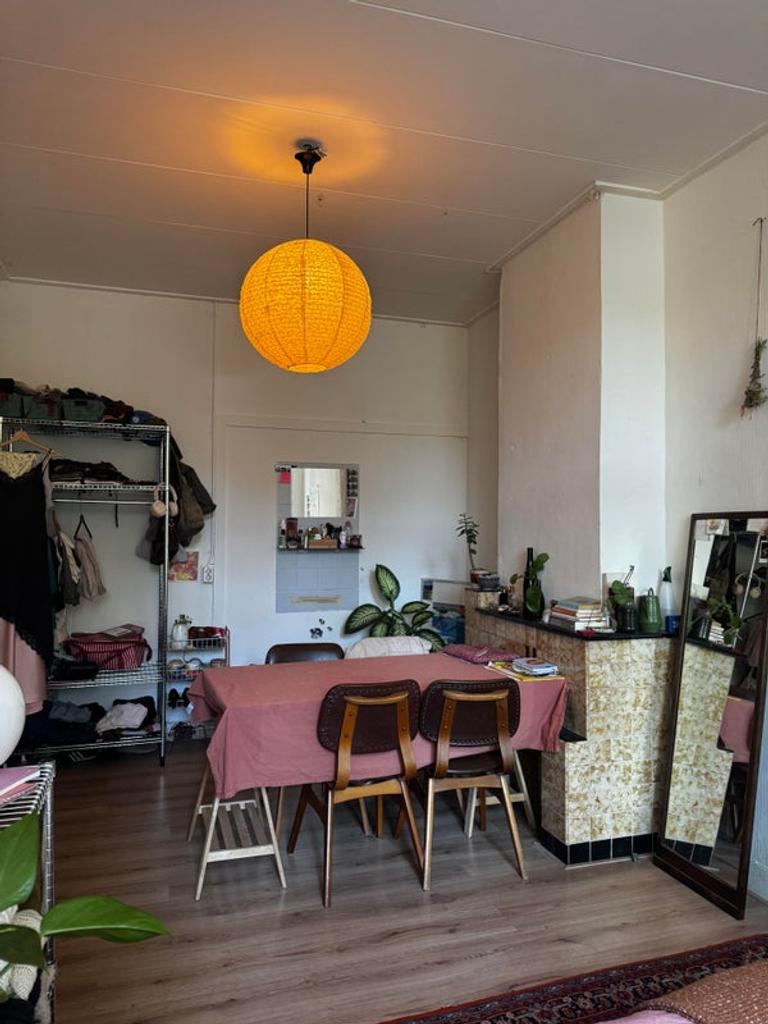 Kamer met tuin in Oud-Assendorp - Afbeelding 3