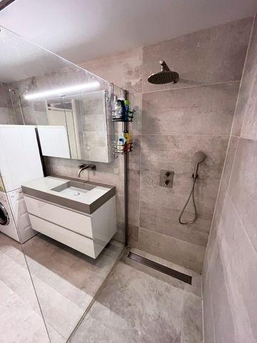 Furnished 1-bedroom apartment near Leidseplein - Image 13
