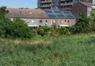 Family Home with Garden in Haarlem Zuiderpolder - Image 3