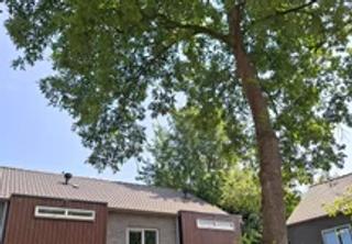 Vrijstaand wonen met 4 slaapkamers in Bergen - Afbeelding 3