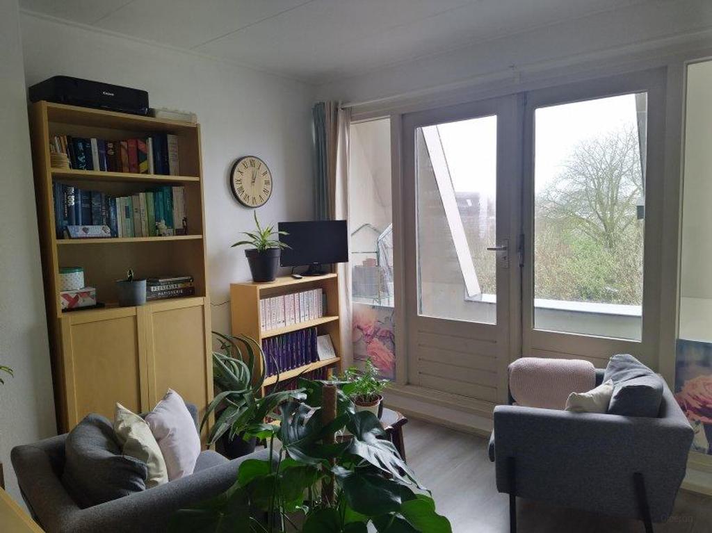 Student Apartment with Separate Bedroom - Image 3