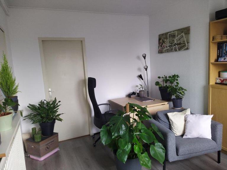 Student Apartment with Separate Bedroom - Image 4