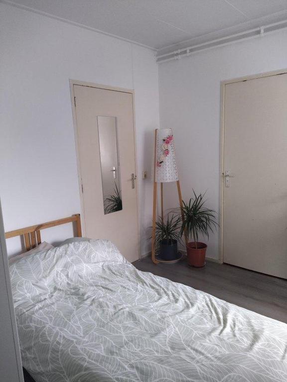 Student Apartment with Separate Bedroom - Image 6