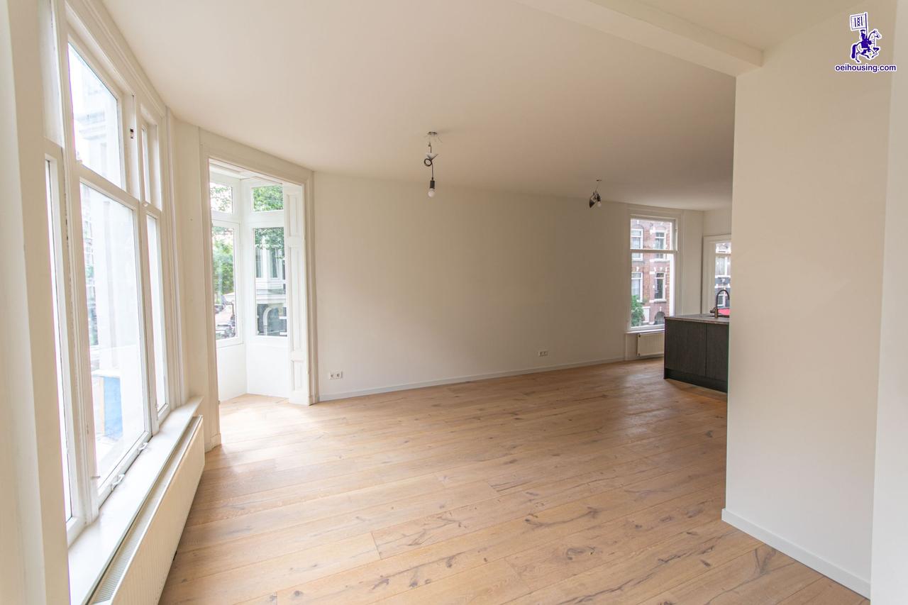 Licht 2-kamerappartement in Helmersbuurt - Afbeelding 2