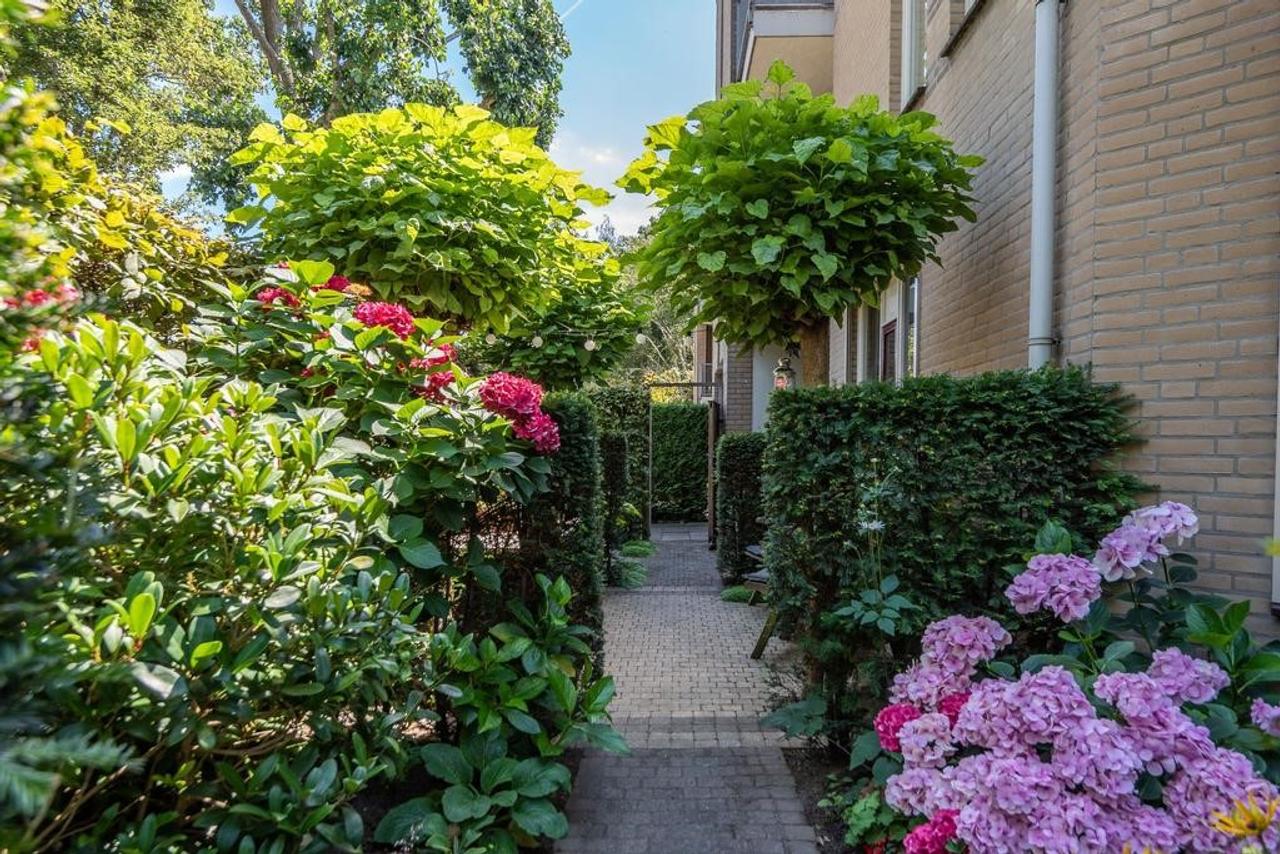 3-room apartment with garden in Hemelrijken - Image 24