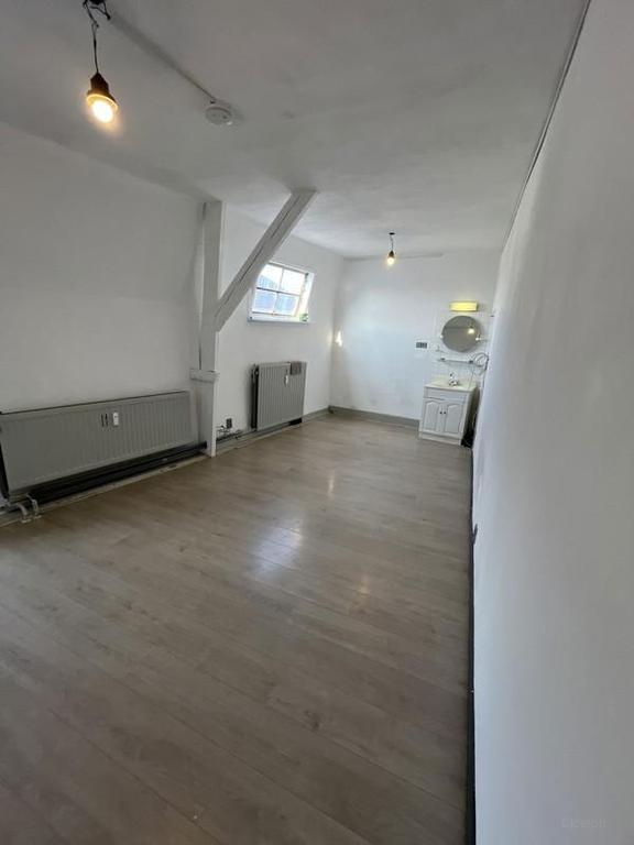 15 m² Room at Wilhelminapark - Image 4