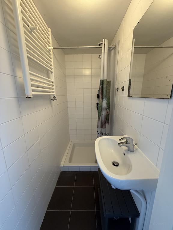Kamer met dakterras in de Grunobuurt - Afbeelding 7
